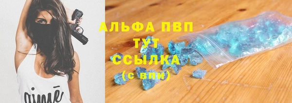 стаф Медвежьегорск